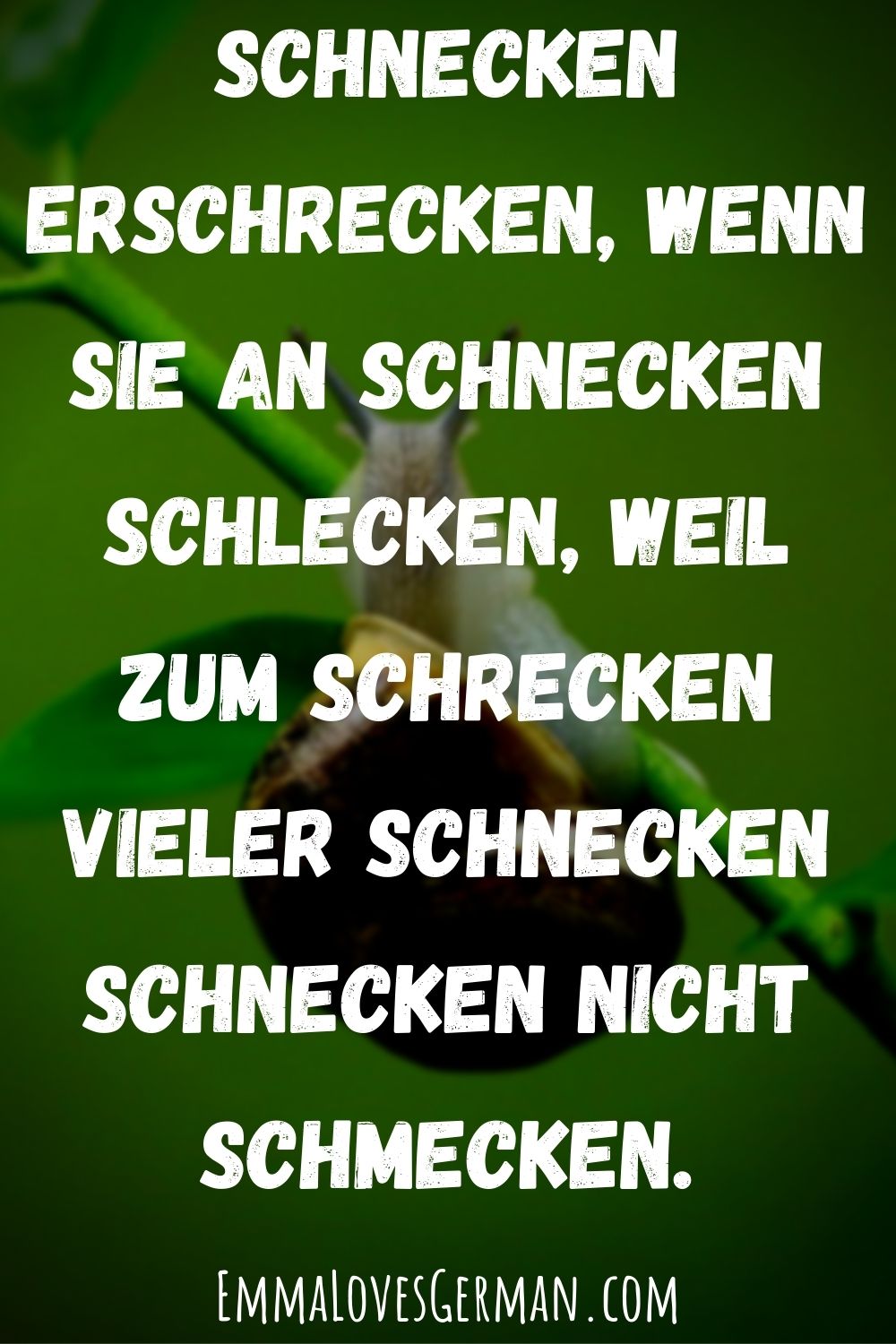 8 Hilarious German Tongue Twisters [with Audio] Emma Loves German